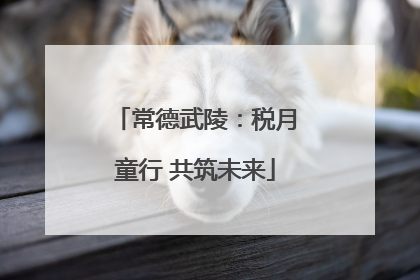 常德武陵：税月童行 共筑未来