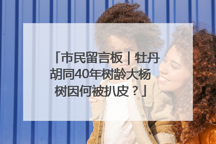 市民留言板｜牡丹胡同40年树龄大杨树因何被扒皮？
