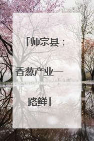 师宗县：香葱产业一路鲜