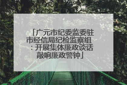 广元市纪委监委驻市经信局纪检监察组：开展集体廉政谈话 敲响廉政警钟