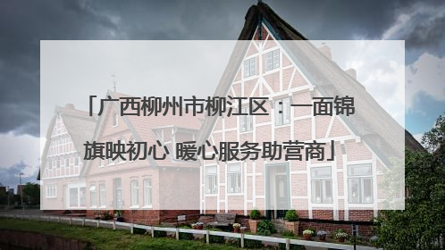 广西柳州市柳江区：一面锦旗映初心 暖心服务助营商