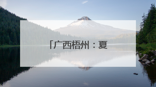 广西梧州：夏日赏荷正当时