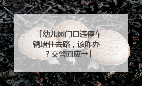 幼儿园门口违停车辆堵住去路，该咋办？交警回应→