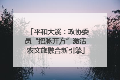 平和大溪：政协委员“把脉开方”激活农文旅融合新引擎
