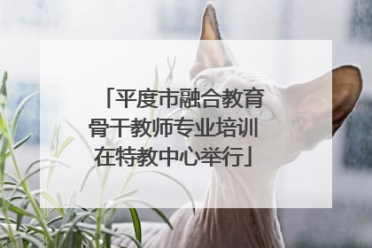 平度市融合教育骨干教师专业培训在特教中心举行