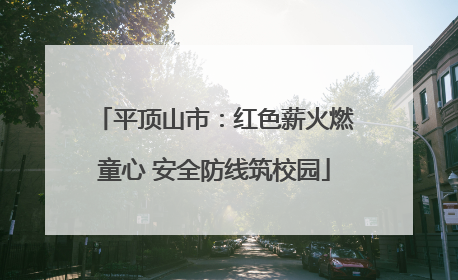 平顶山市：红色薪火燃童心 安全防线筑校园