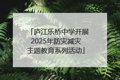 庐江乐桥中学开展2025年防灾减灾主题教育系列活动
