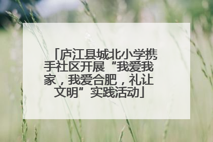 庐江县城北小学携手社区开展“我爱我家，我爱合肥，礼让文明”实践活动