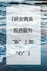 延安黄龙：税费服务“新”上加“心”