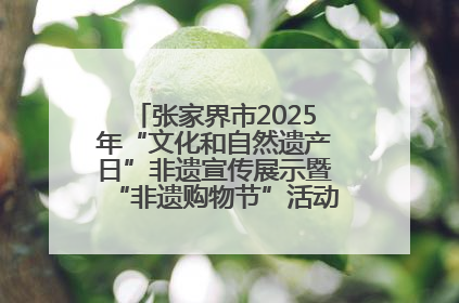 张家界市2025年“文化和自然遗产日”非遗宣传展示暨“非遗购物节”活动在慈利县盛大启幕
