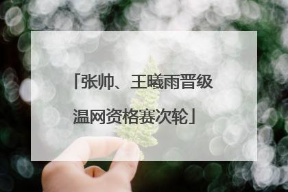 张帅、王曦雨晋级温网资格赛次轮
