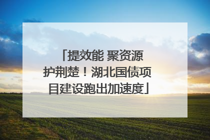 提效能 聚资源 护荆楚！湖北国债项目建设跑出加速度