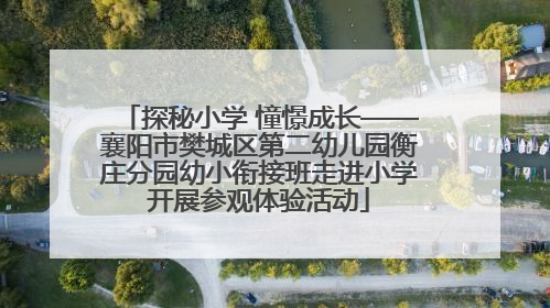 探秘小学 憧憬成长——襄阳市樊城区第二幼儿园衡庄分园幼小衔接班走进小学开展参观体验活动
