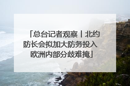 总台记者观察丨北约防长会拟加大防务投入 欧洲内部分歧难掩