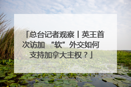 总台记者观察丨英王首次访加 “软”外交如何支持加拿大主权？