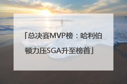 总决赛MVP榜：哈利伯顿力压SGA升至榜首