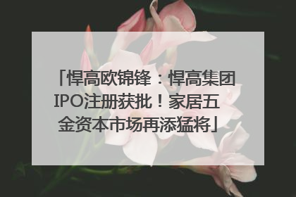 悍高欧锦锋：悍高集团IPO注册获批！家居五金资本市场再添猛将