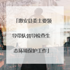 惠安县委主要领导带队督导检查生态环境保护工作
