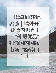 感知山东记者谈｜墙外开花墙内也香！“外贸优品”打通国内国际市场“旋转门”