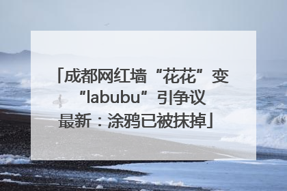 成都网红墙“花花”变“labubu”引争议 最新：涂鸦已被抹掉