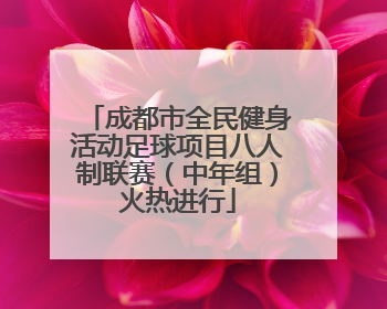 成都市全民健身活动足球项目八人制联赛（中年组）火热进行