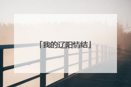 我的辽阳情结