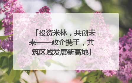 投资米林，共创未来——政企携手，共筑区域发展新高地
