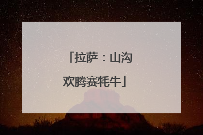 拉萨：山沟欢腾赛牦牛