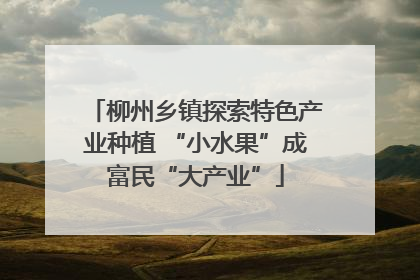 柳州乡镇探索特色产业种植 “小水果”成富民“大产业”