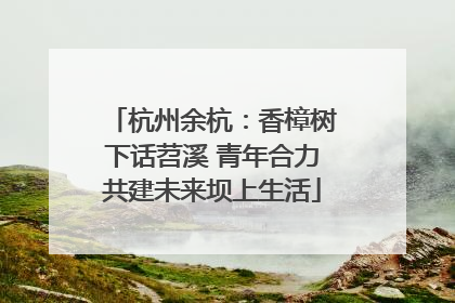 杭州余杭：香樟树下话苕溪 青年合力共建未来坝上生活