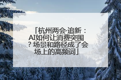 杭州两会·追新：AI如何让消费突围？场景和路径成了会场上的高频词