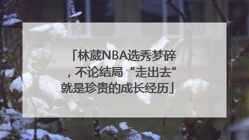 林葳NBA选秀梦碎，不论结局“走出去”就是珍贵的成长经历