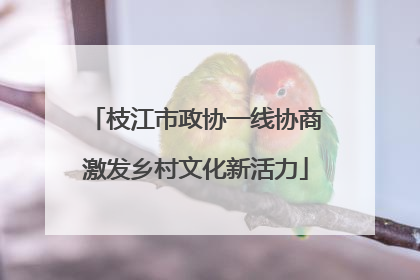 枝江市政协一线协商激发乡村文化新活力