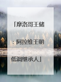 摩洛哥王储：阿拉维王朝低调继承人