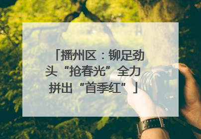 播州区：铆足劲头“抢春光”全力拼出“首季红”