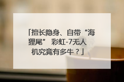 擅长隐身、自带“海狸尾” 彩虹-7无人机究竟有多牛？