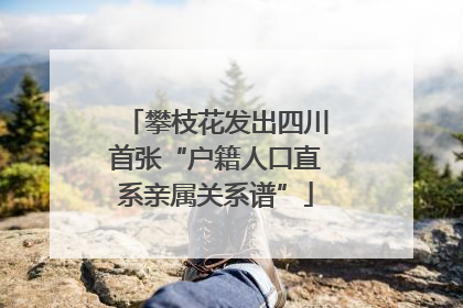 攀枝花发出四川首张“户籍人口直系亲属关系谱”