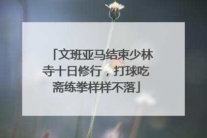 文班亚马结束少林寺十日修行，打球吃斋练拳样样不落
