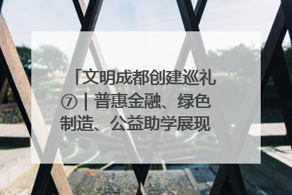 文明成都创建巡礼⑦｜普惠金融、绿色制造、公益助学展现城市文明底色