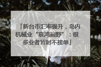 新台币汇率强升，岛内机械业“哀鸿遍野”：很多业者暂时不接单