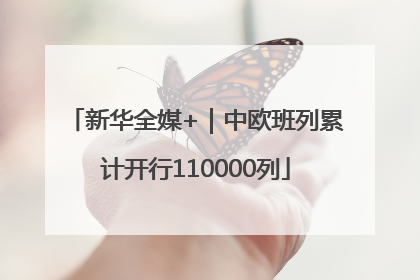 新华全媒+｜中欧班列累计开行110000列