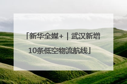 新华全媒+｜武汉新增10条低空物流航线