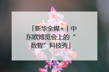 新华全媒+丨中东欧博览会上的“数智”科技秀