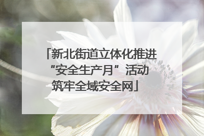 新北街道立体化推进“安全生产月”活动 筑牢全域安全网