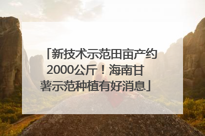 新技术示范田亩产约2000公斤！海南甘薯示范种植有好消息