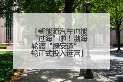 新能源汽车也能“过海”啦！渤海轮渡“绿安通” 轮正式投入运营