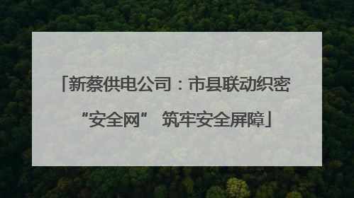 新蔡供电公司：市县联动织密“安全网” 筑牢安全屏障