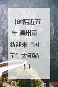 时隔近五年 温州重新迎来“国宝”大熊猫！
