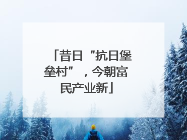昔日“抗日堡垒村”，今朝富民产业新