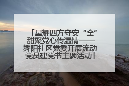 星耀四方守安“全” 甜聚党心传温情——舞阳社区党委开展流动党员建党节主题活动